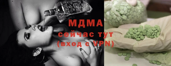 стаф Алзамай