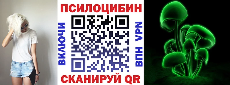 купить Чаплыгин Галлюциногенные грибы ЛСД